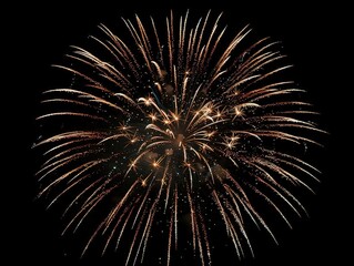 A large, bright, and colorful firework explodes in the night sky. The firework is surrounded by stars and has a long tail.