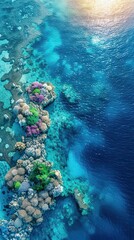 Fototapeta premium An aerial view of a coral reef. The water is crystal clear. The reef is full of colorful coral and fish. The sun is shining down, creating a beautiful sparkle on the water.