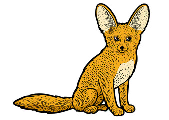 Fennec fox desert animal color sketch engraving PNG illustration. T-shirt apparel print design. Scratch board imitation. Black and white hand drawn image.