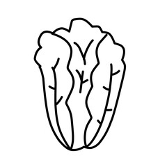 hand drawn vegetable doodles