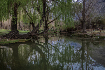 green landscape with mirror in the lake in Chile.