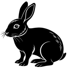 black and white rabbit