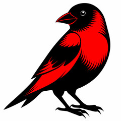 illustration of a bird