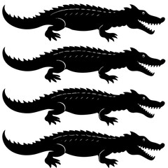 crocodile isolated on white