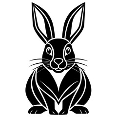 black and white rabbit