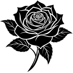 black rose