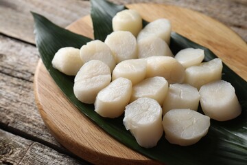 Fresh raw scallops on wooden table, closeup