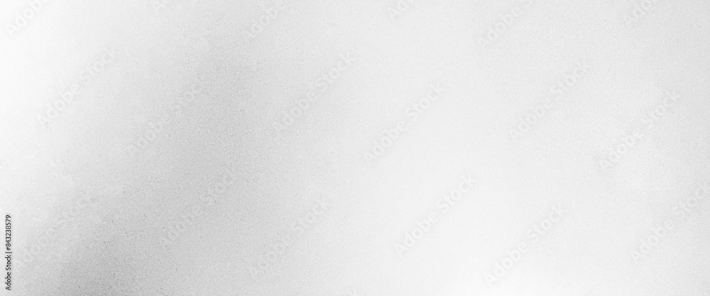 Wall mural vector white and grey soft smooth gradient texture color. shiny bright background