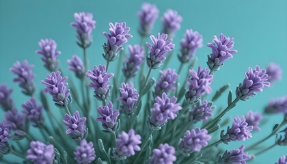 A macro shot of tiny lavender flowers with their intricate petals, placed on a turquoise blue backdrop.