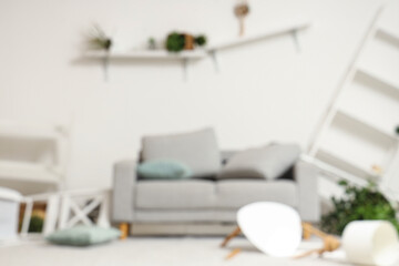 Blurred view of messy living room with sofa, shelves and plants