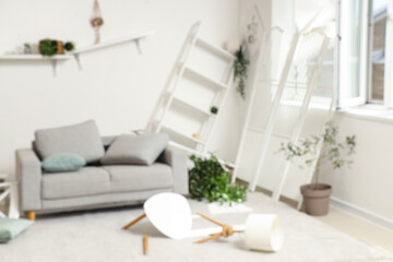 Blurred view of messy living room with sofa, shelves and plants