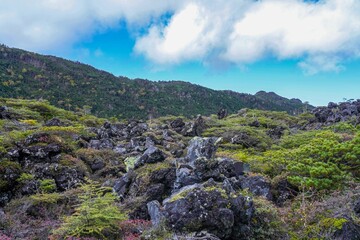 青空バックに北八ヶ岳、坪庭で見た溶岩と針葉樹のコラボ情景