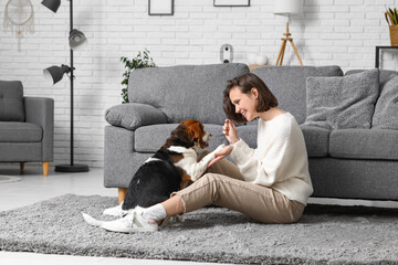 Young woman playing with adorable Beagle dog on floor near sofa at home