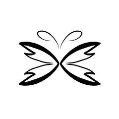 black and white butterfly