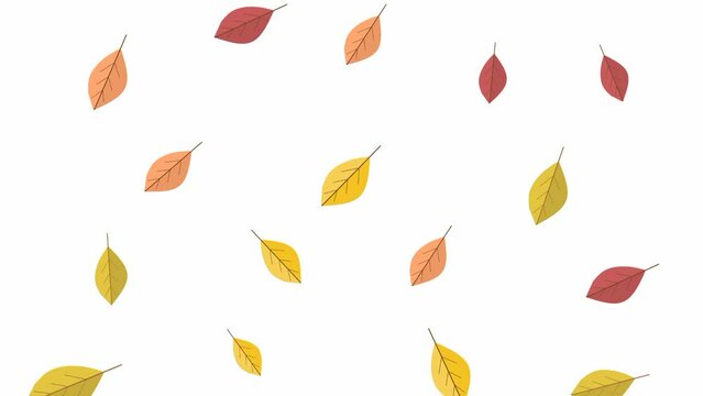 autumn leaves background, falling leaves animation