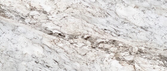 Fototapeta premium white colored granite pattern with light gray