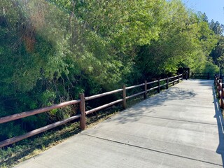 Fototapeta premium Sunny walking and bike path lined with lush greenery, providing a vibrant, scenic route for leisure and exercise.