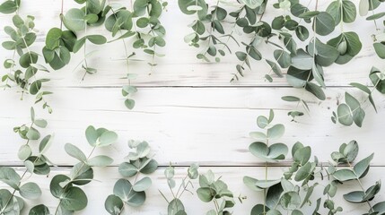 Eucalyptus branches and leaves on wooden rustic white background. Minimal background eucalyptus on white board. Flat lay, top view, copy space, generative ai