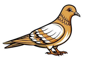 Pigeon different style vector illustration line art