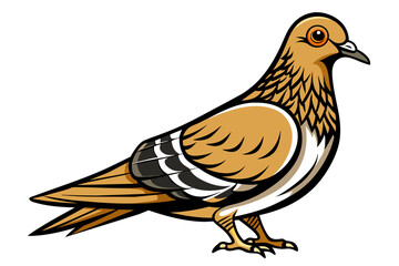 Pigeon different style vector illustration line art