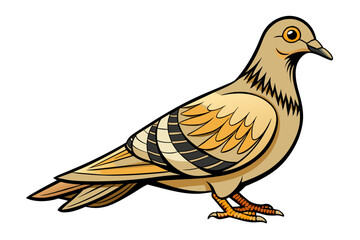 Pigeon different style vector illustration line art