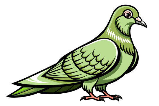recommend clip art: Pigeon different style vector illustration line art