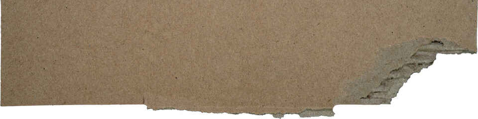 Torn Cardboard