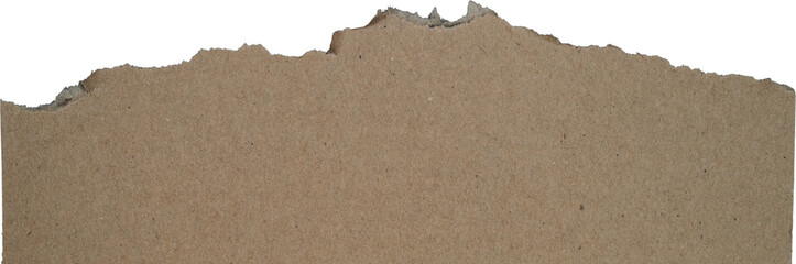 Torn Cardboard