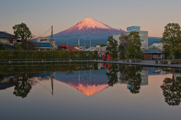 Mount Fuji World Heritage Center (静岡県富士山世界遺産センター)