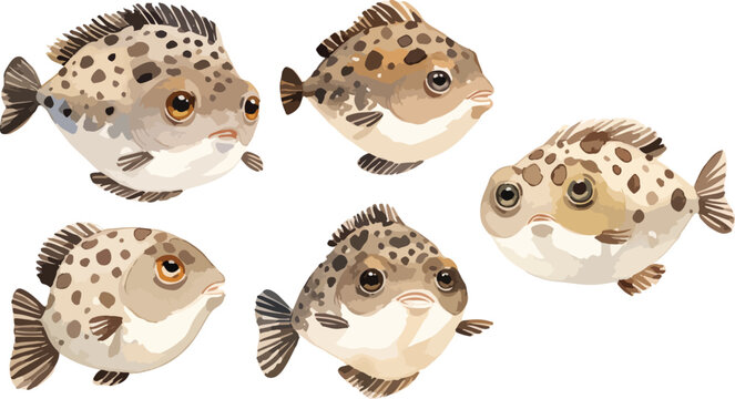 puffer fish clipart vector for graphic resources	