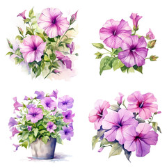 Set of Vibrant Petunia Watercolor Painting - Floral Botanical Artwork on White Background