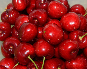 An image of a bunch of Bing cherries