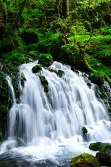 Fototapeta premium 元滝伏流水（秋田県）