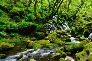 元滝伏流水（秋田県）