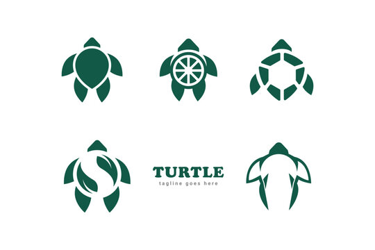turtle logo vector template art  design