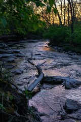 A branch sitting in a flowing river, illuminated by the sun setting in the background