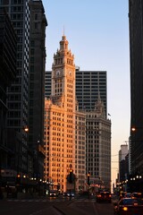 Clock tower in Chicago in the morning close to sunrise