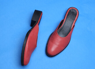 women's leather slipper mules on colorful background

