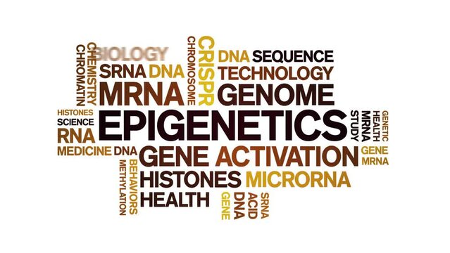 Epigenetics animated word cloud;text design animation tag kinetic typography seamless loop.