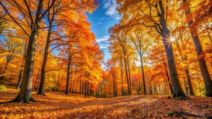 Vibrant orange and yellow leaves scatter the serene forest floor, surrounded by towering trees, beneath a crisp blue sky on a tranquil autumn afternoon.
