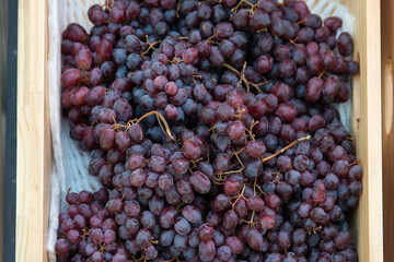 bunch of grapes