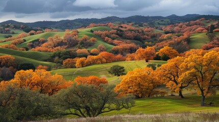 Rolling hills blanketed in vibrant autumn foliage.