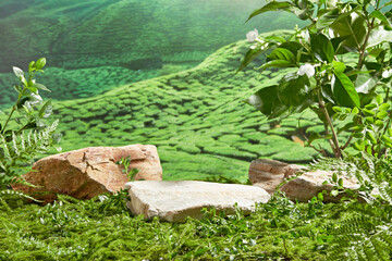 On the lawn featured an empty stone platform in white color, decorated with some rocks and green plants on both sides, behind is green hills scene. Vacant space for product presentation, front view