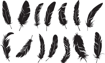 feather seamless pattern © Jani Vector images