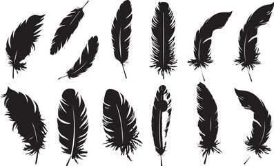 feather seamless pattern