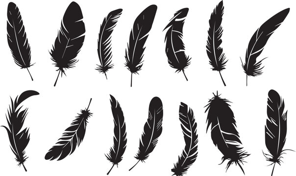 Fototapeta feather seamless pattern