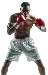 portrait of a young boxer isolated on transparent background.