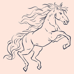 horse jumping illustration vector for card decoration illustration