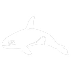 Outline of Marine Animals Collection