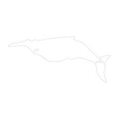 Outline of Marine Animals Collection